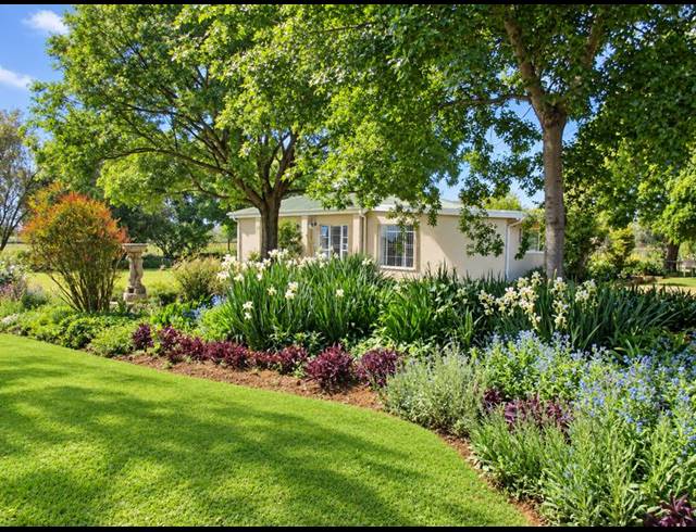 FARM FOR SALE IN BAINSVLEI